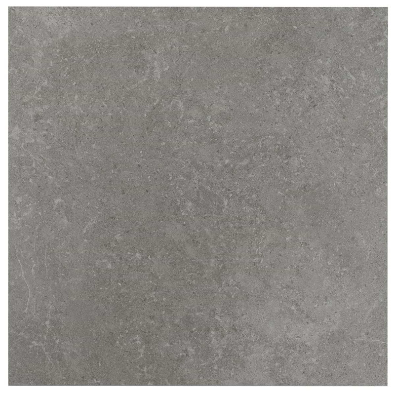 New Rock 24X24 Matte Porcelain Tile, Fossil Dark Gray