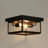 Rosalee 2- Light Matte Black Clear Glass Rectangle Flush Mount Ceiling 