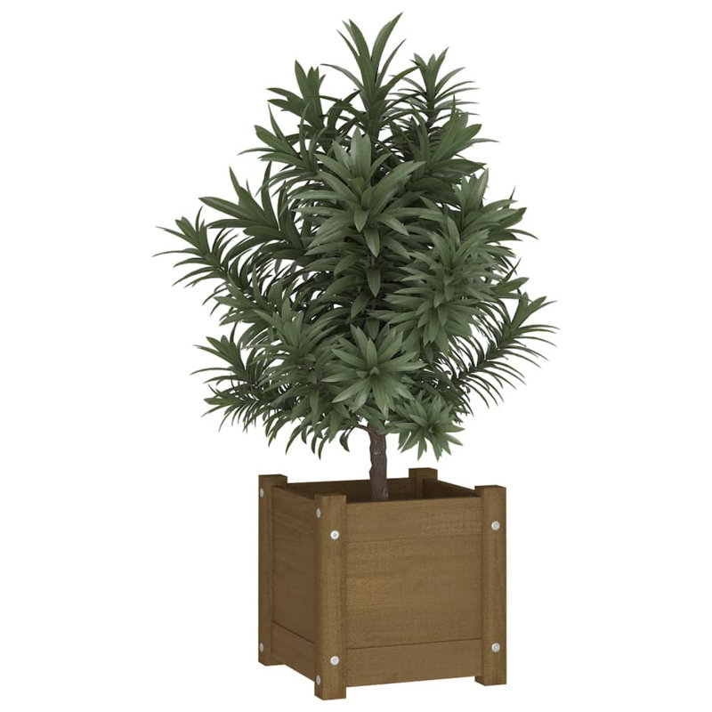 Alasiah Wood Planter Box, 31cm H x 31cm W x 31cm D, Brown