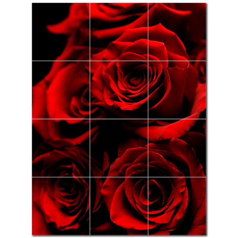 8 x 8