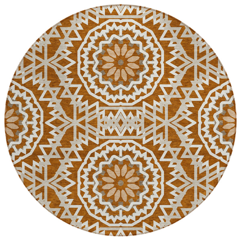 Tapis intérieur lavable 8 pi