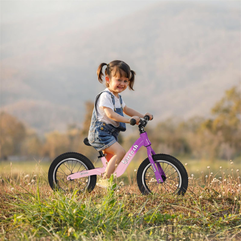 Sparacio 17 Stories Push/Pull Ride On, Pink/Purple