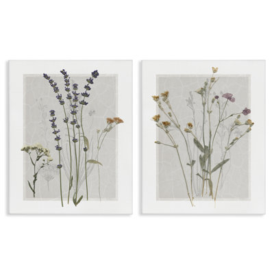 Delicate Wildflower Herb Sprigs 2 Piece Canvas Wall Art Set by Carol Robinson