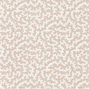 Truffle Wallpaper