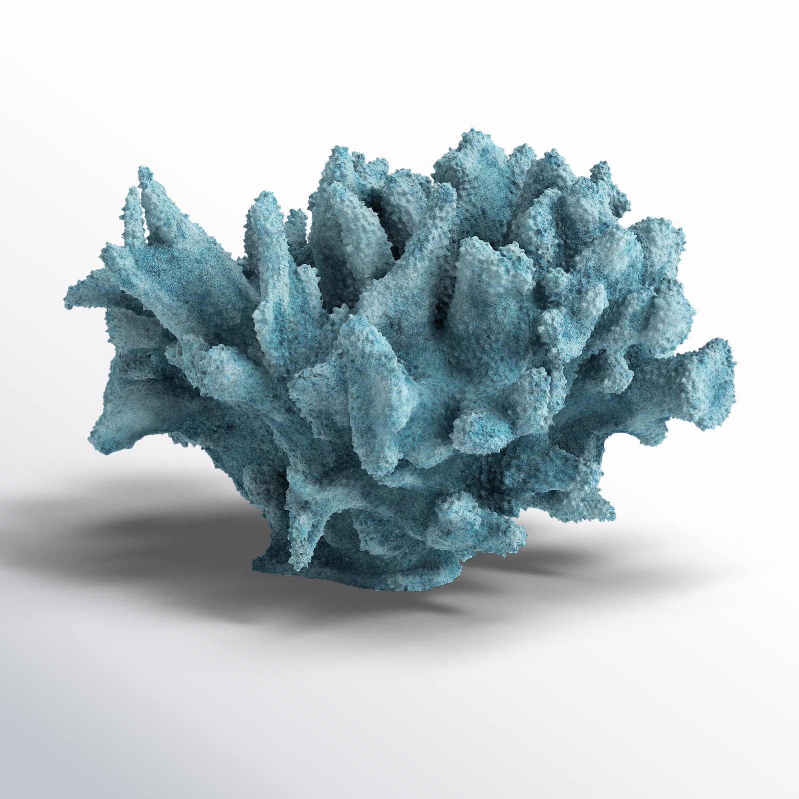 Beachcrest Home Brightmont Faux Coral Sculpture & Reviews | Wayfair