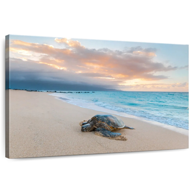 Turtle Sunset, 34" H x 51" W