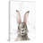 Bewildered Rabbits Thinking Rabbit Print on Wrapped Canvas-26825006