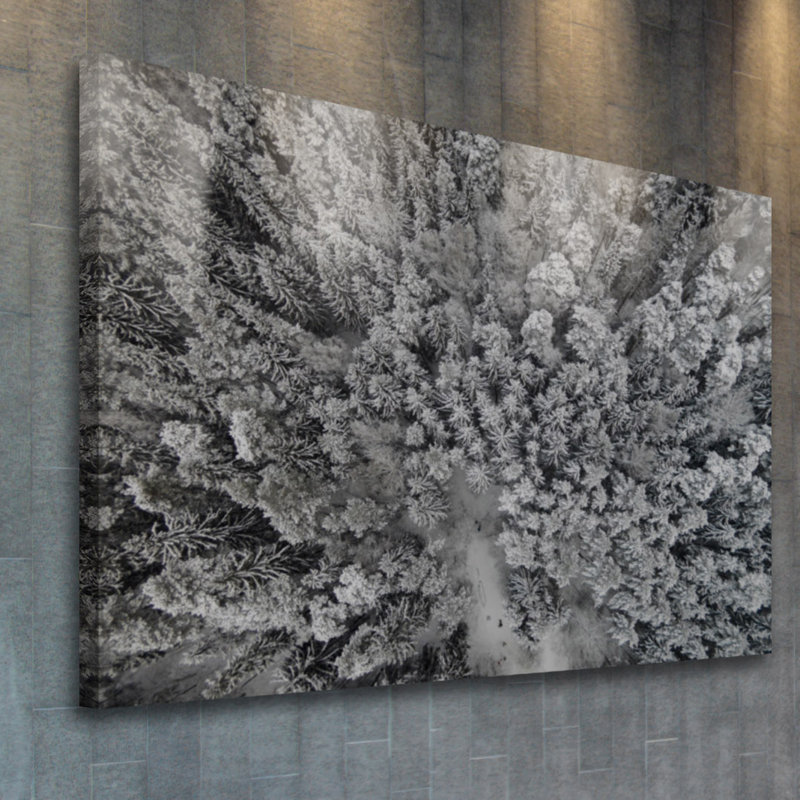 Karolis Janulis - Wrapped Canvas Print, 76 cm H x 114 cm W x 3.81 cm D