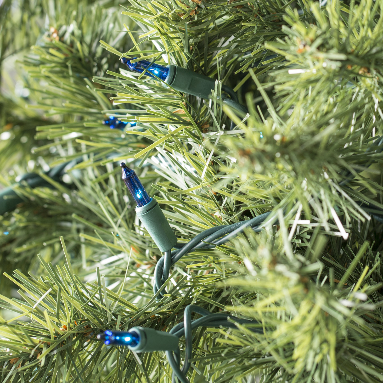 50.5' 100-Light String Lights, Blue