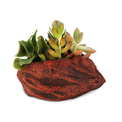 Kellum Ceramic Statue Planter