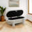 Keyasha Upholstered Ottoman