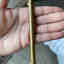 Customer photo 5 of 5