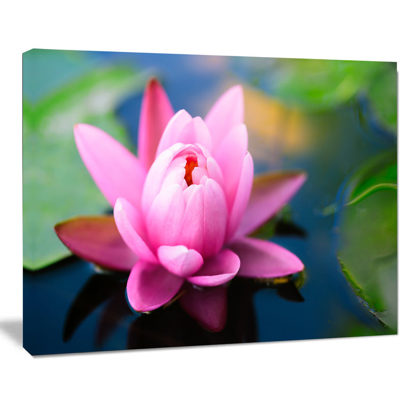 «Large Lotus Flower in the Pond», reproduction de photo sur toile tendue encadrée, H 8 po x l 12 po x P 1 po, Toile tendue