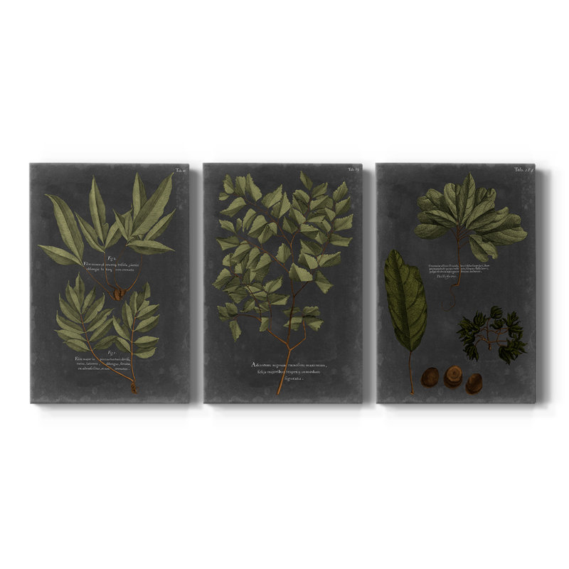 Foliage Dramatique IV - Toile tendue avec châssis sur mesure - 3 pièces, H 18 po x l 36 po, Impression sans cadre