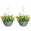 45cm Plant