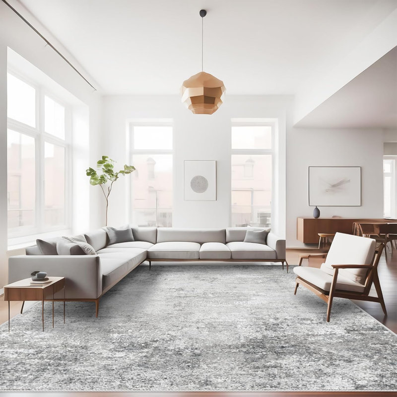 Washable Hallway Rug - Rugs Modern Stain Resistant Indoor Mat Rug for Laundry, Bedroom Non Slip Rubber Backing Thin Super Soft Room Decor Floor Carpet Grey