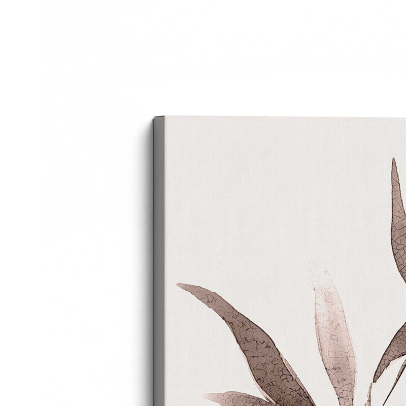 Reproduction sur toile 12 "x 8" monochrome Botanica v5, Toile tendue, H 12 po x l 8 po x P 1,25 po