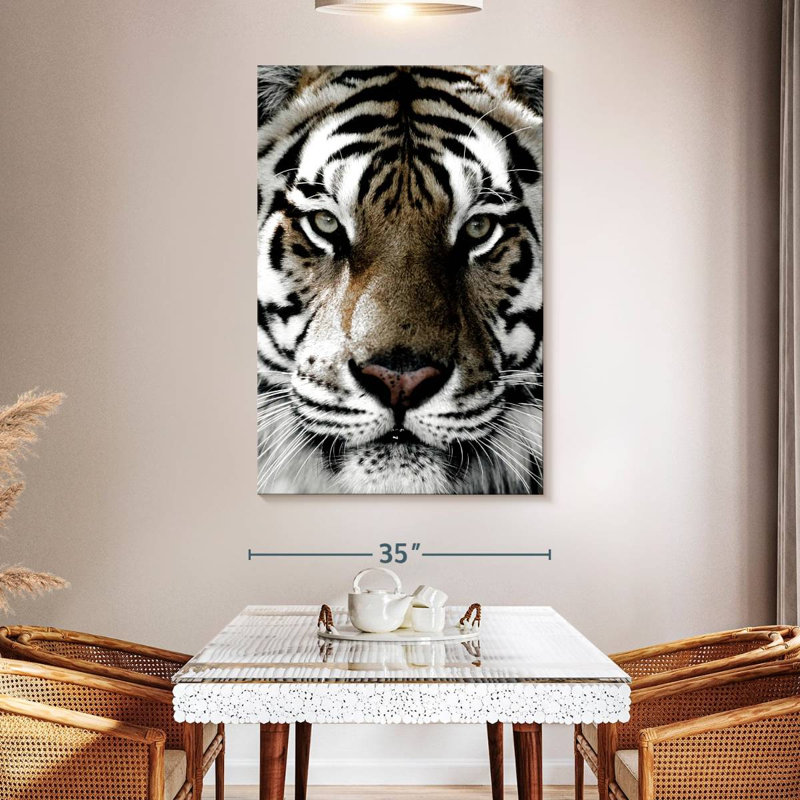 Brampt White Tiger Gaze, 51" H x 34" W