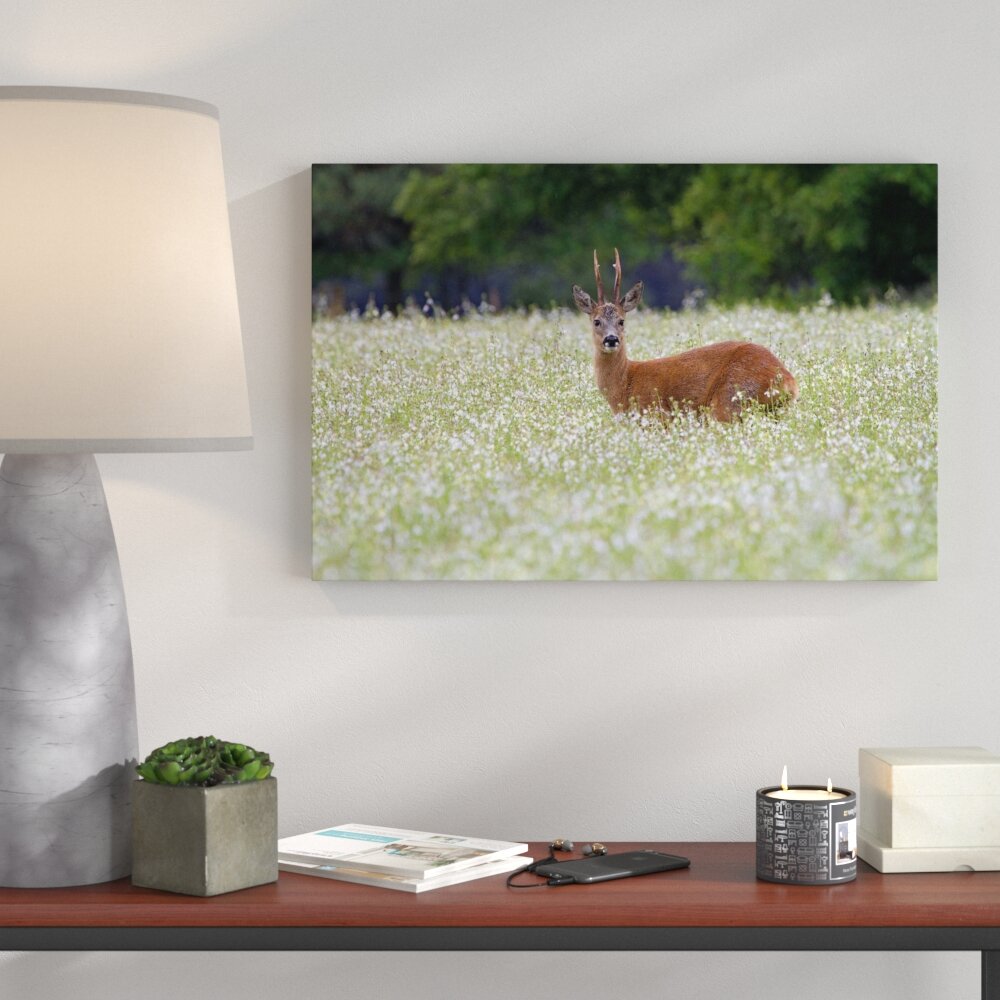 Leinwandbild Young Deer in Forest Meadow von Martha De Jong-Lantink