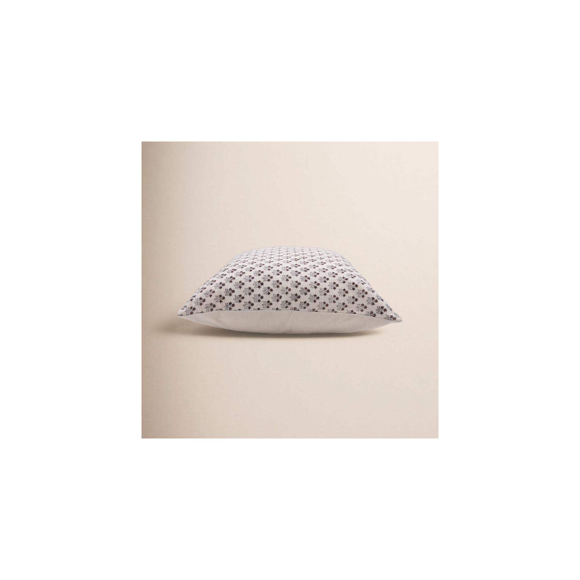Levert Cotton Indoor/Outdoor Pillow Cover, 20" x 20"