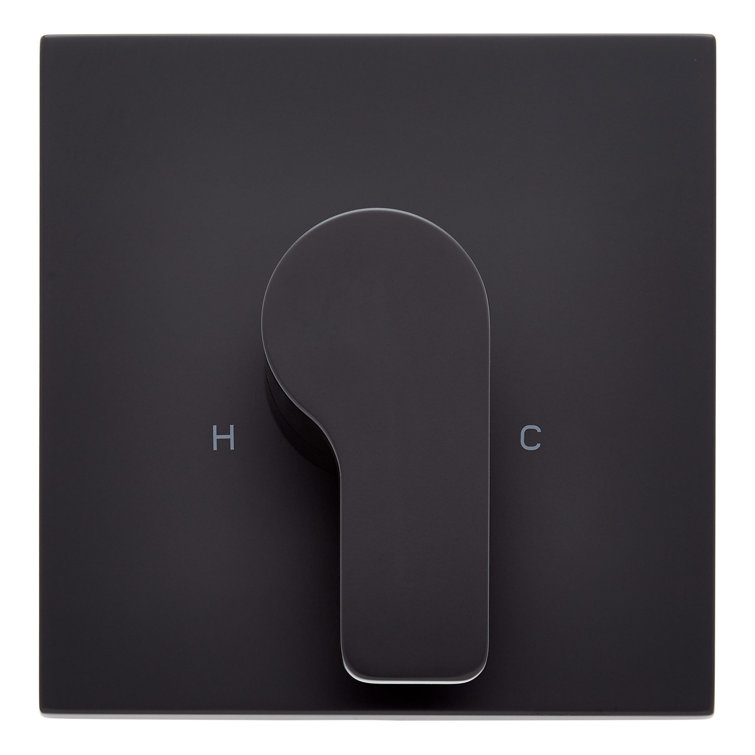 Hibiscus Thermostatic and Volume Control Trim and .5" Valve