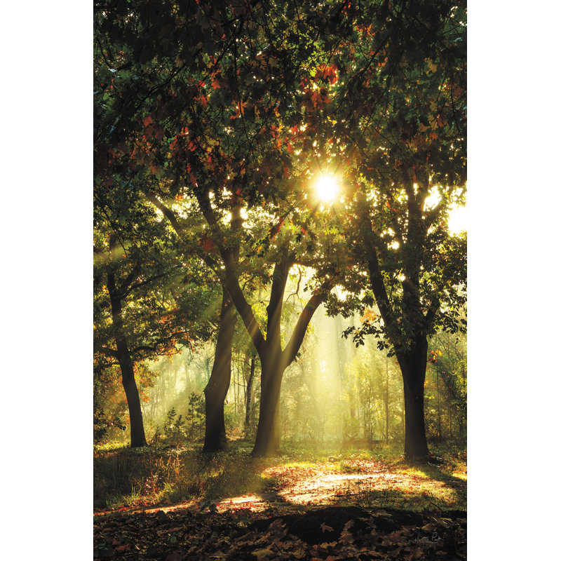Lumière d'automne par Martin Podt, H 36 po x l 24 po