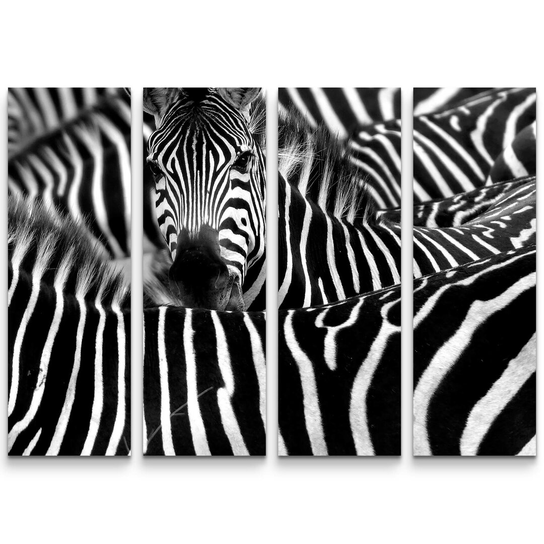 4-tlg. Leinwandbilder-Set Zebra in seiner Herde