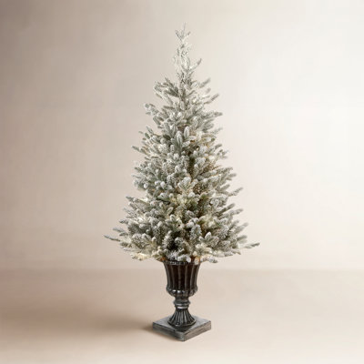 The Holiday Aisle® 4 ft. Iceland Fir Entrance Tree with Clear Lights