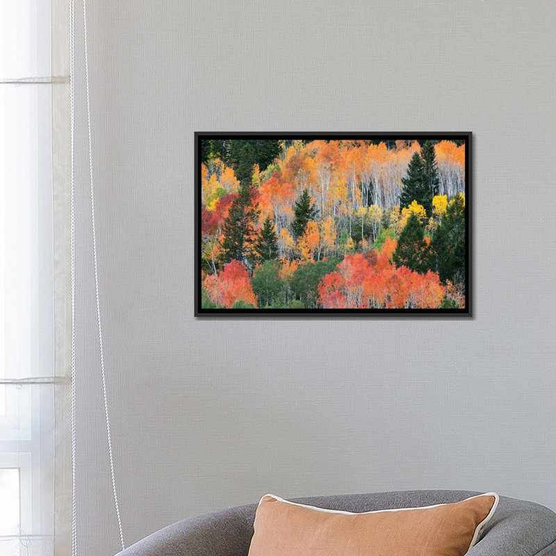 « color automne landscape, wasatch-cache national forest, utah, usa », reproduction de photo sur toile, Toile avec cadre noir