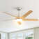 52'' 5-Blade Sand Nickle Modern Ceiling Fan With Led Light and Remote Control