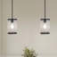 Luminaire suspendu noir à 1 lumière Aarvin