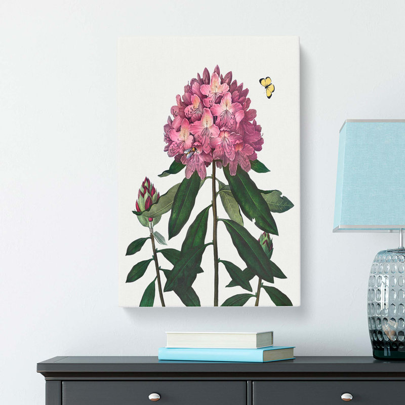 Butterfly & Rhododendrons by R.J. Thornton - Wrapped Canvas Painting, 50cm H x 35cm W x 3cm D