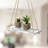 Mcspadden 2 Piece Triangle Solid Wood Floating Shelf-2066456559