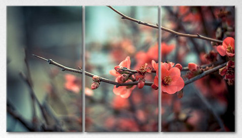 3 Piece Wrapped Canvas Print