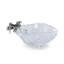 Sea And Shore Glass Dessert Bowl