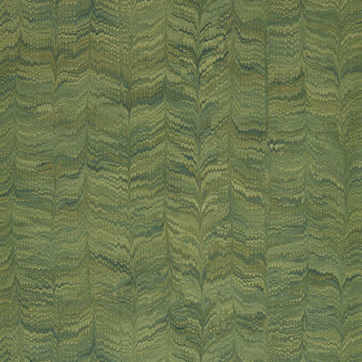 Jaipur Plain