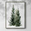Simple Evergreen I, reproduction encadrée - bois massif-622171247