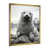 Gold Picture Framed selected