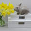 Jewelry Box-626258873