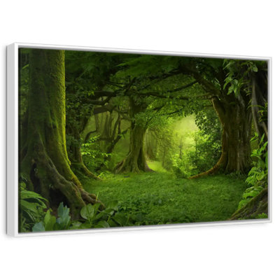 Mossy Green Forest