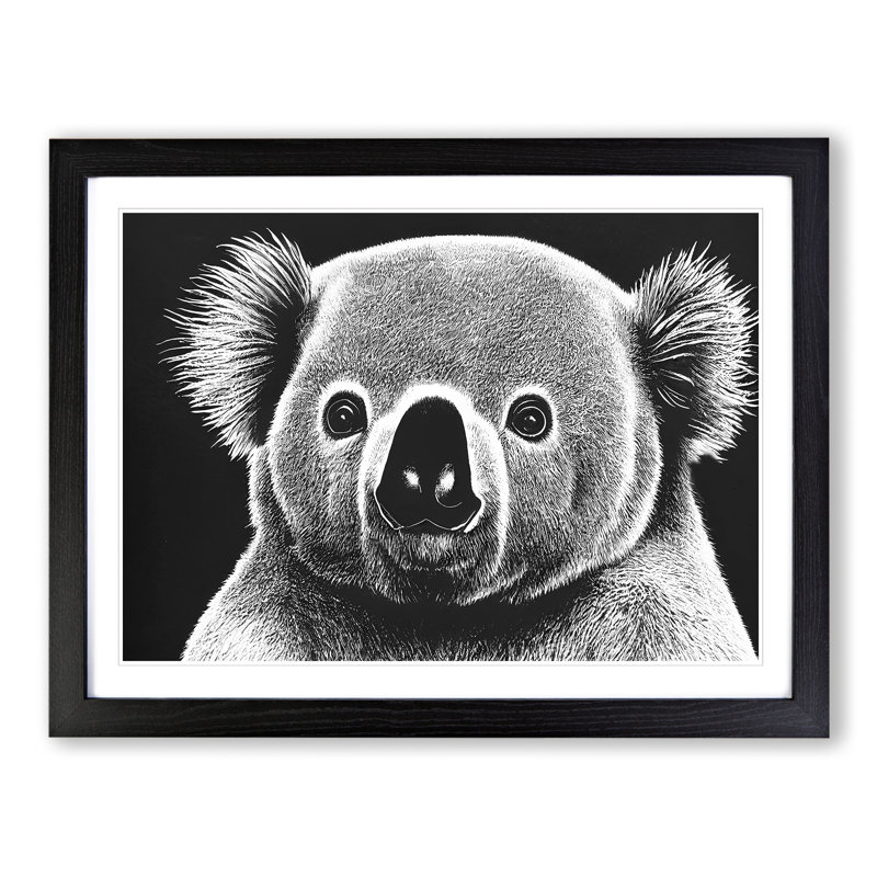 Koala Bear - Single Picture Frame Print, Black Framed, 46cm H x 64cm W