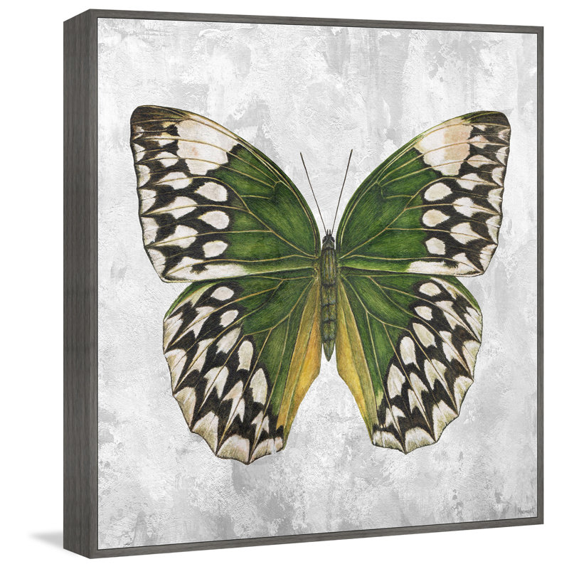 " Nature's Angel " by Marmont Hill, 12" H x 12" W x 1.5" D
