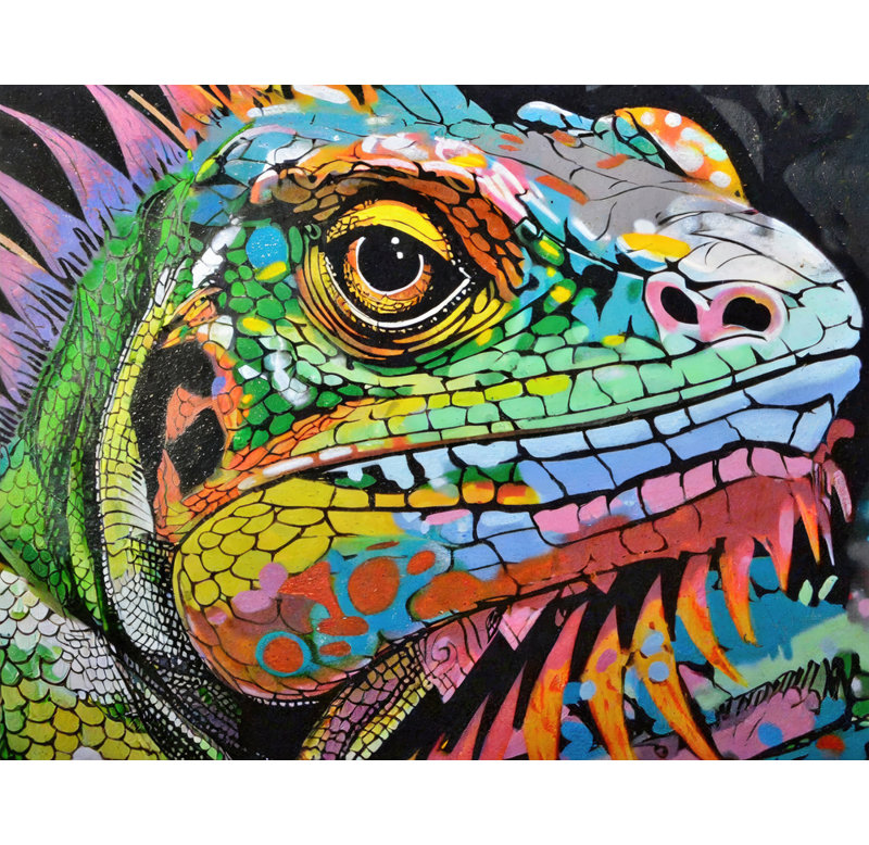 «Iguana Graffitianimals» sur toile, H 20 po x l 24 po