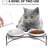 Ceramic Raised Elevate Feeder-50626478