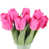 Rose rouge