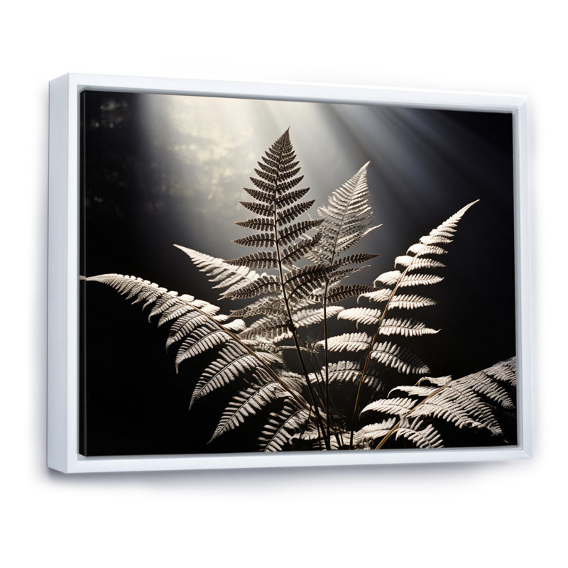" Ferns Close Up Photo VIII ", H 34 po x l 44 po, Gold Picture Framed