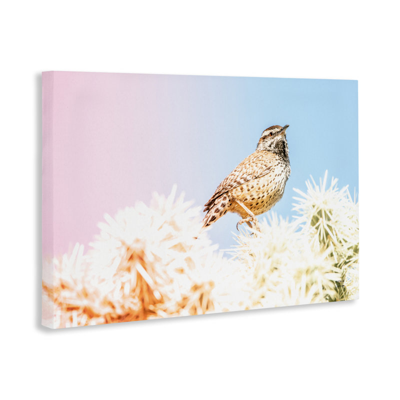 «Desert Song Bird Canvas» par Nathan Larson, H 20 po x l 30 po