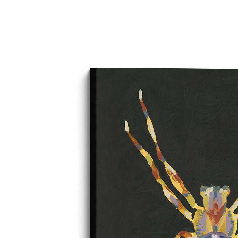«Spider Cameo I» par June Erica Vess, reproduction d'art sur toile, H 30 po x l 20 po, Toile tendue, Ne s’applique pas