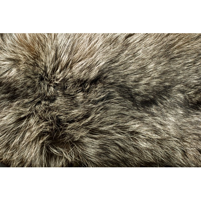 " Closeup Of Beautiful Polar Fox Fur "