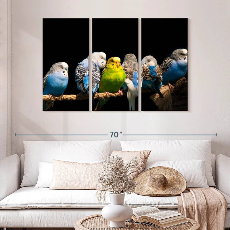 Budgerigars sur une corde, H 32 po x l 50 po